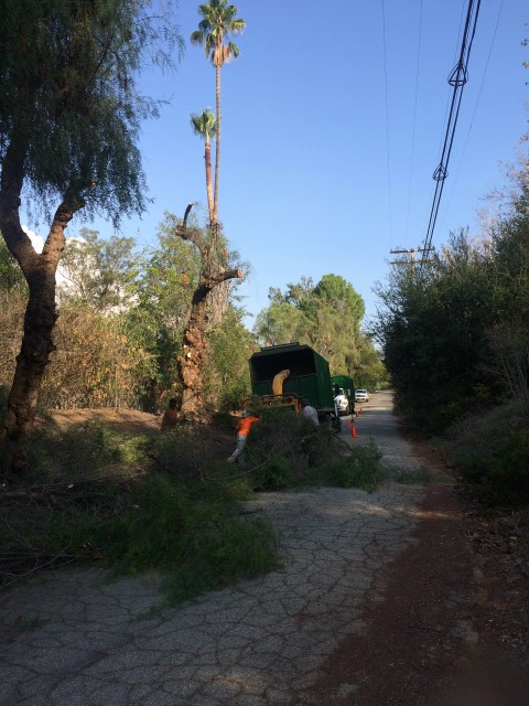Lot & Hillside Cleaning