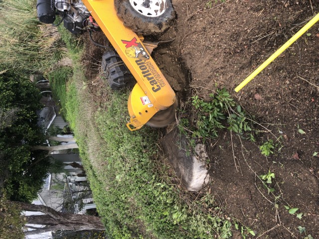 Stump Grinding
